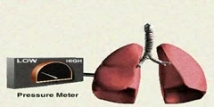 Understanding the Mechanics of Breathing