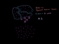 Lec 25 - Binary, Decimal and Hexadecimal Number Systems