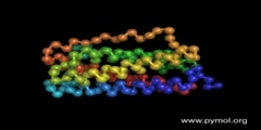 GCSF Protein Folding