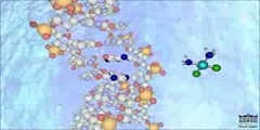 The Mechanism of Cisplatin (New -HD)