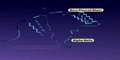 Complete Structure of Proteins