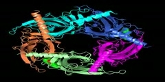 Acetylcholine Binding Protein