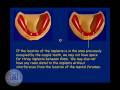 Lec 13 - DENT 718: Two-implant supported overdenture treatment