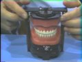 Lec 12-Dental Anatomy: Introduction to Waxing, Bench Set-up