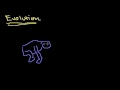 Lec 1 - Introduction to Evolution and Natural Selection