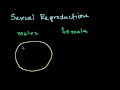 Lec 7 - Variation in a Species