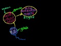 Lec 9 - Mitosis, Meiosis and Sexual Reproduction