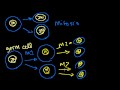 What are Stages of Mitosis