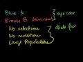 Lec 16 - Hardy-Weinberg Principle