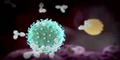 Flu virus animation