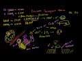 Lec 27 - Oxidative Phosphorylation and Chemiosmosis