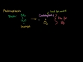 Lec 28 - Photosynthesis