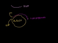 Lec 33 - C-4 Photosynthesis