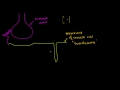 Lec 49 - Role of the Sarcoplasmic Reticulum in Muscle Cells