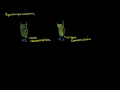 Lec 100 - Spectrophotometry Introduction