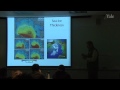 Lec 24 - Ice in the Climate System