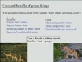 Lecture 5 - Environ Sci Spring 2011 Last 10 minutes edited out, BBC cop