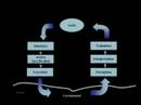 Lec 33 - Biology 1B - Lecture 34: Consequences of interactions