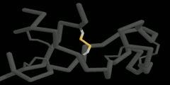 Disulfide Bonds