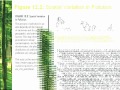 Lec 14 - Environmental Economics and Policy 100