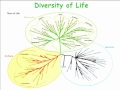 Lec 1 - Molecular and Cell Biology C148 - First 41 minut