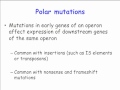 Lec 9 - Molecular and Cell Biology C148