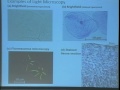 Introduction to biology lecture