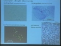 Lec 3 -Biology 1A -  Cell structure and organization -#1