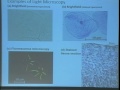 Lec 3 -Biology 1A -  Cell structure and organization -#1