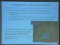 Lec 4 -Biology 1A - Cell structure and organization -#2