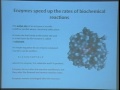 Lec 6 -Biology 1A -Enzyme structures and mechanisms