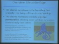 Lec 7 -Biology 1A -Cell membrane structure and transpor