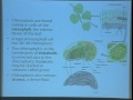 Lec 12 - Biology 1A - Photosynthesis - the light reaction