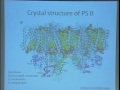 Photosynthetic Reaction Center