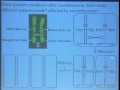 Meiosis and mitosis differentiated