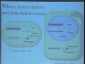 Lec 18 - Biology 1A -Gene Expression I - DNA is transcri
