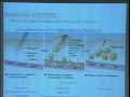 Lec 28 - Biology 1A - Homeostasis:  Digestion and nutriti