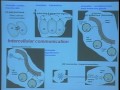 Lec 32 - Biology 1A -  Homeostasis: Osmoregulation