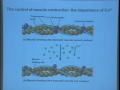 Lec 34 - Biology 1A -Integration: Sex and reproduction