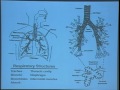 Lec 35 - Biology 1A - Integration: Muscle cells and motil