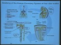 Lec 36 - Biology 1A -  Integration: Nervous system