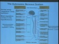 Lec 38-  Biology 1A -  Review 1