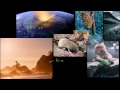 Lec 64 - Human Evolution Overview