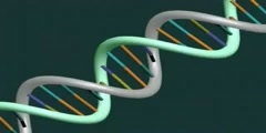 Analysis of Endogenous Retroviruses