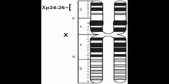 Selfish Sex Chromosomes 1