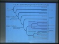 Lec 6 - Biology 1AL - Lecture 7: Lab 8: Anatomy