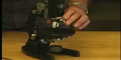 Physics Lab Demo 15: Microscope