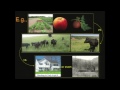Lec 10 - Edible Education: Food and the Environment