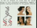 Lec 15 - Biology 1A - Lecture 16: DNA: replication, PCR, forensics