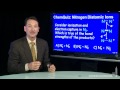 Lec 28 - Diatomic Nitrogen Ions  (Quiz)